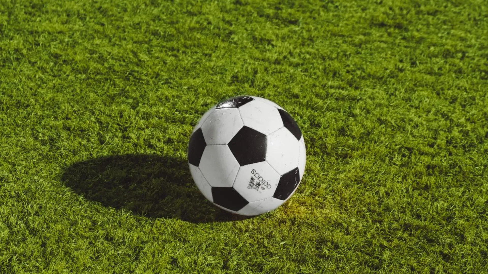 Более тысячи детей сыграют в Лужниках на открытии Школьной футбольной лиги