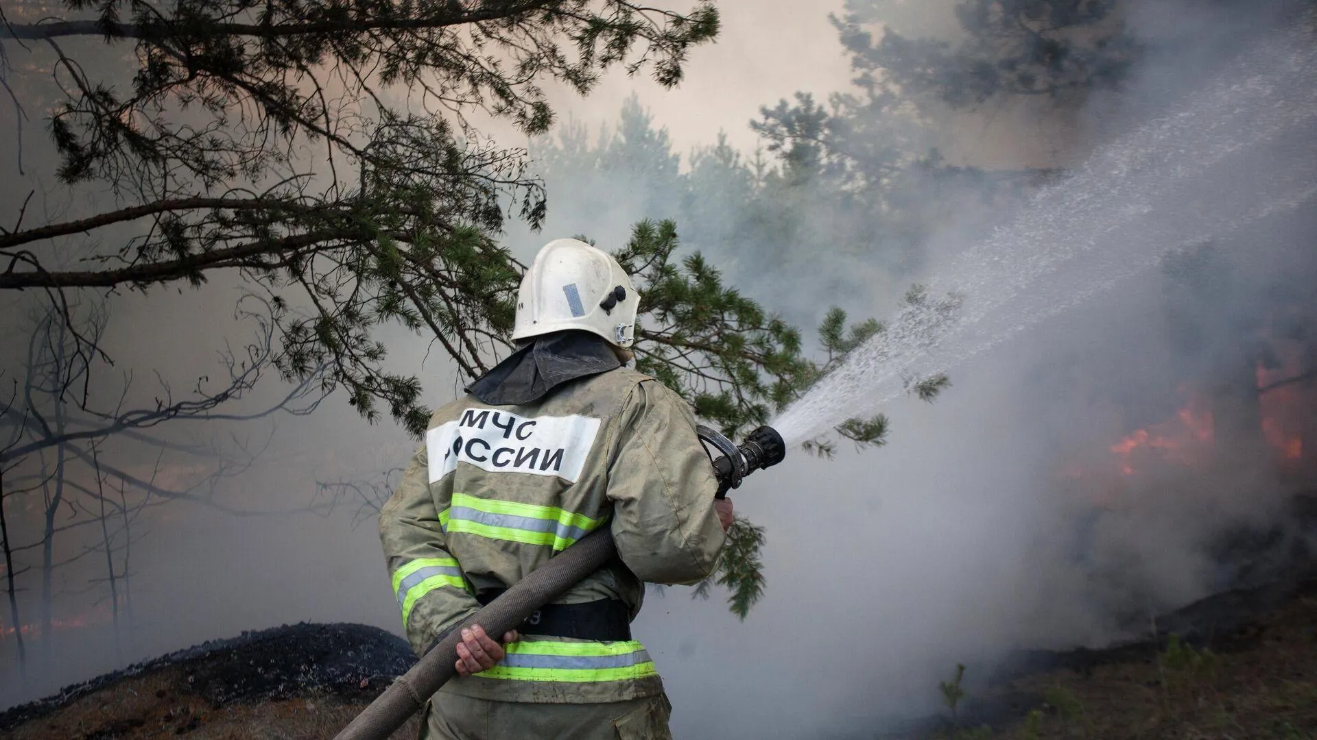 Режим ЧС ввели в Братском районе Иркутской области из-за крупного пожара