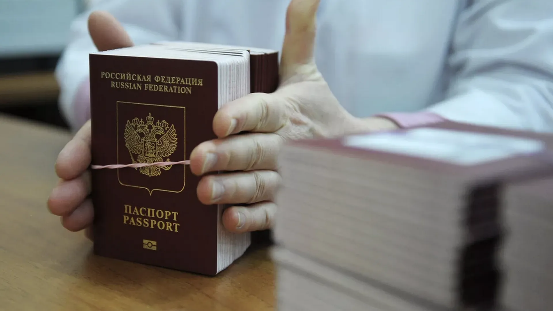 Добровольцу из Сербии отказали в гражданстве России. Жалобу бойца доведут до Путина