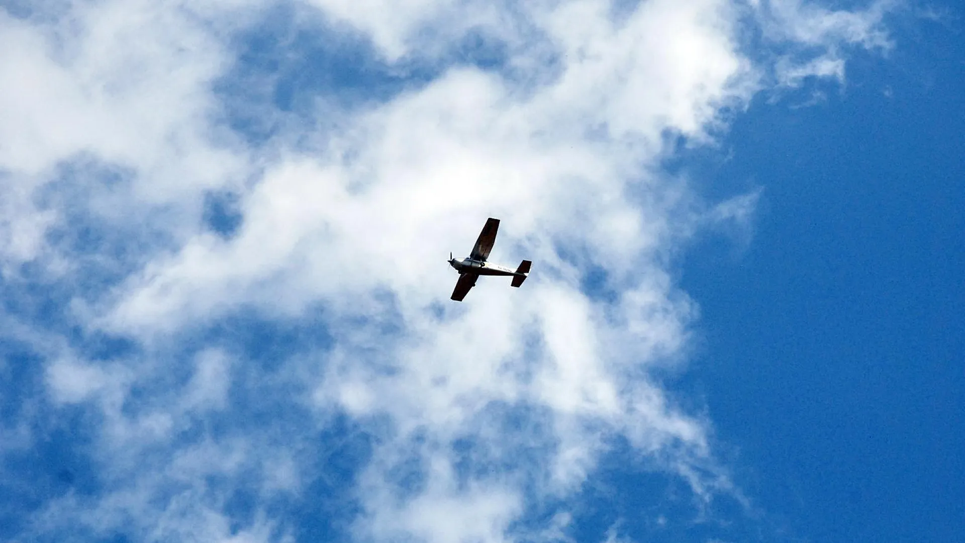 Фото: Alexander Legky