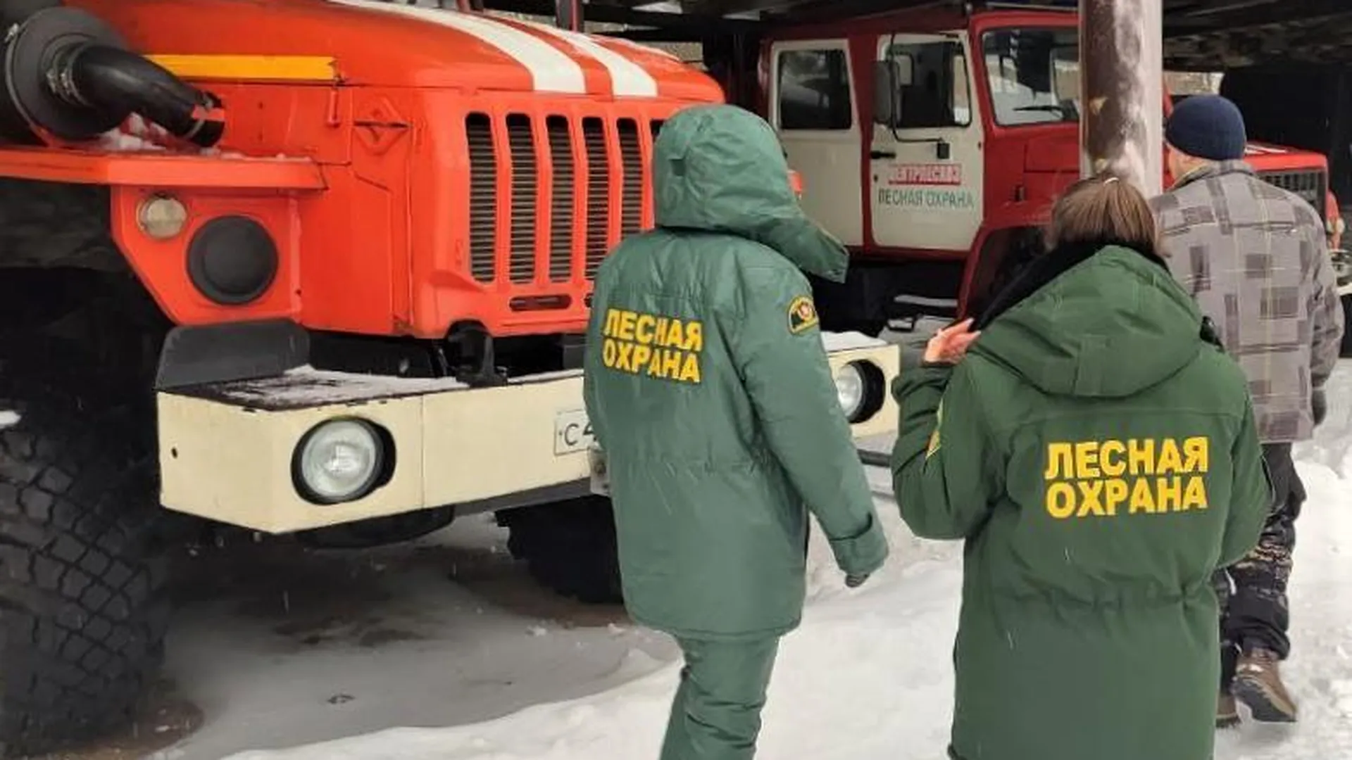 Проверки готовности лесопожарных станций к пожароопасному сезону начались в Московской области
