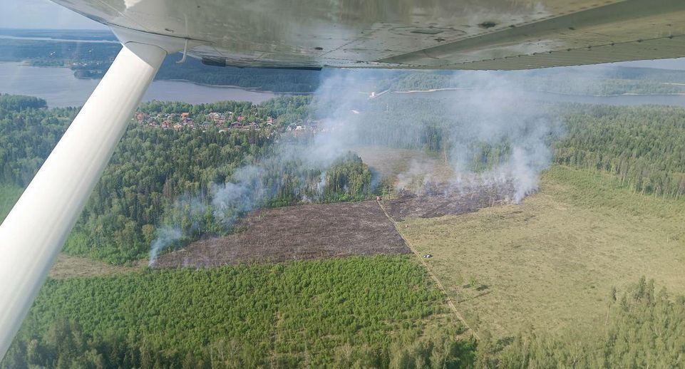 Лесной пожар потушили у деревни Манюхино в Мытищах
