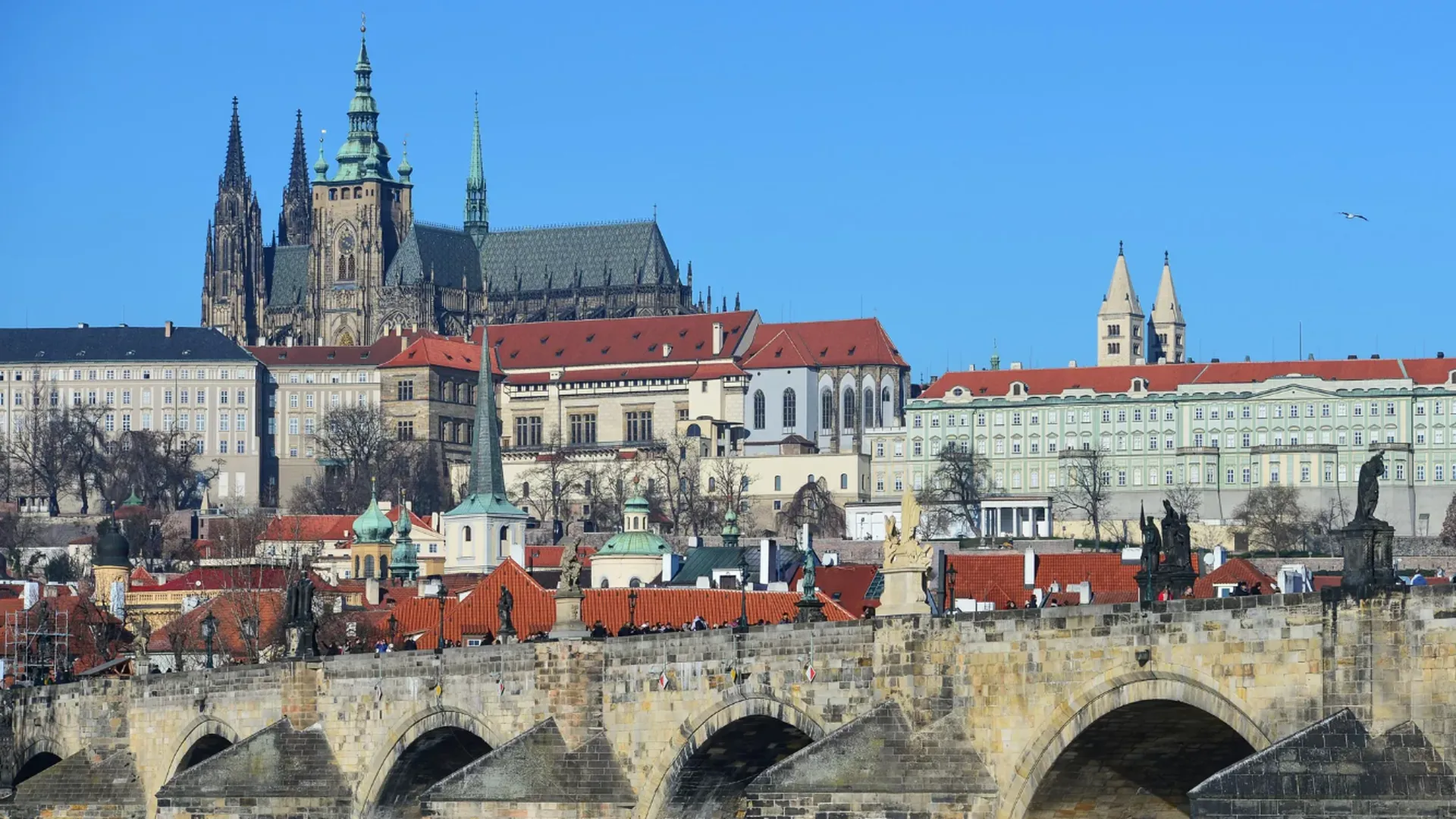 Экс-премьера Чехии Бабиша назвали угрозой безопасности из-за призывов к миру на Украине