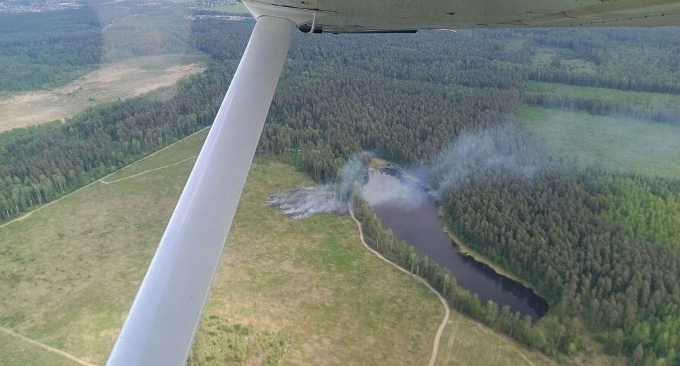 Лесной пожар потушили в Щелкове