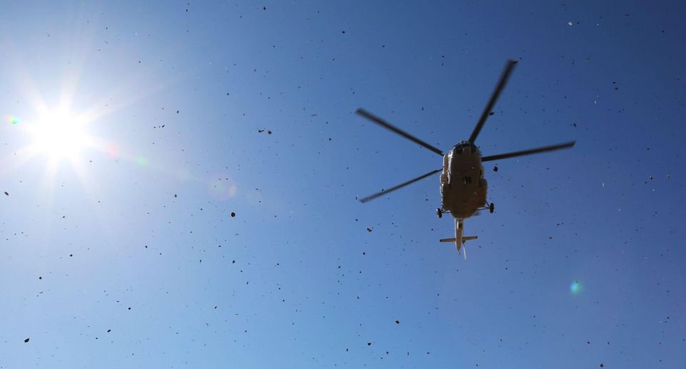 Глава МВД Ирана Вахиди назвал туман причиной жесткой посадки вертолета с Раиси