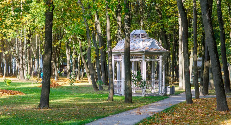 В парке «Кривякино» в Воскресенске провели первую выездную регистрацию брака