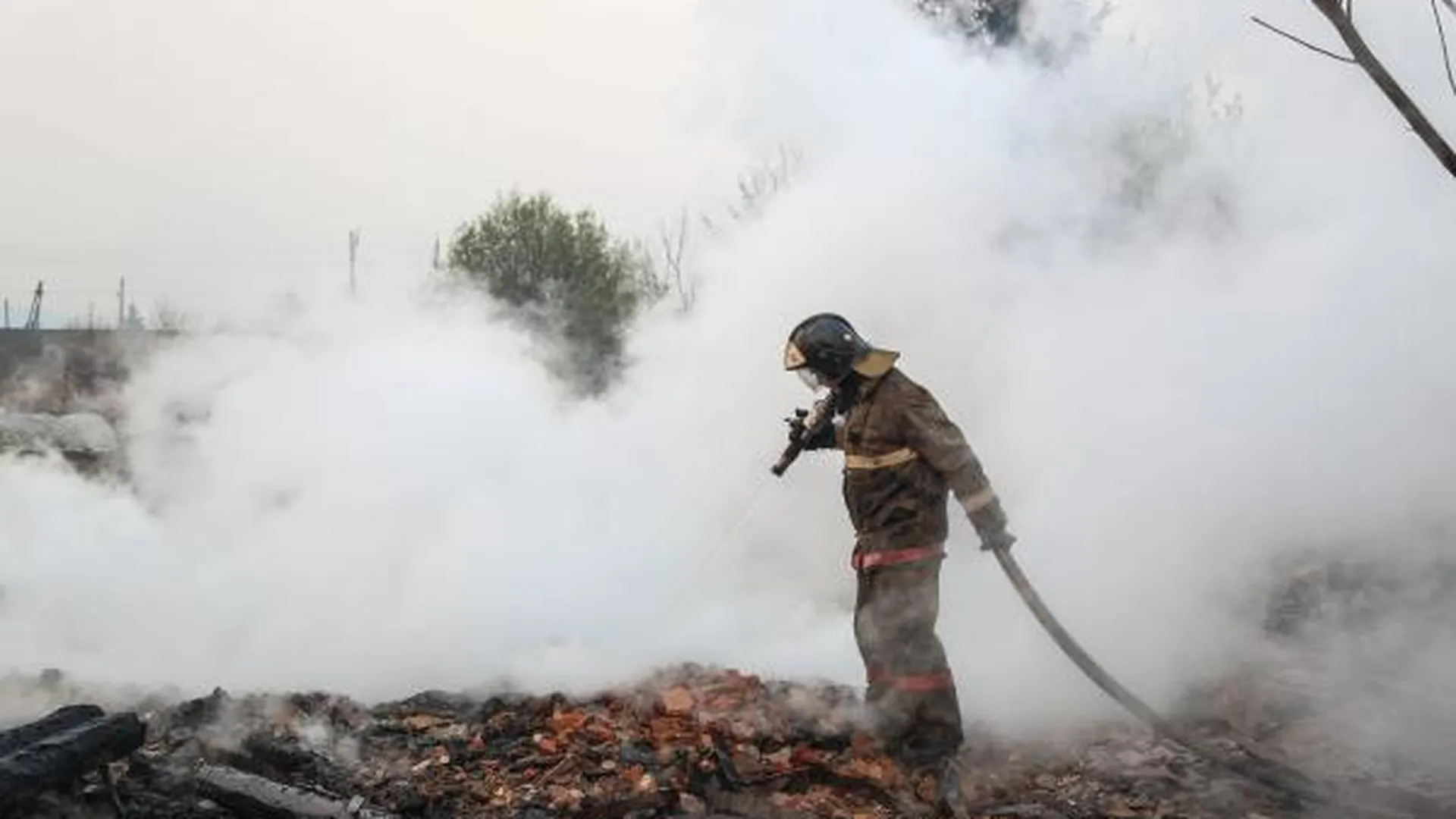 Лесной пожар ликвидирован в Раменском районе