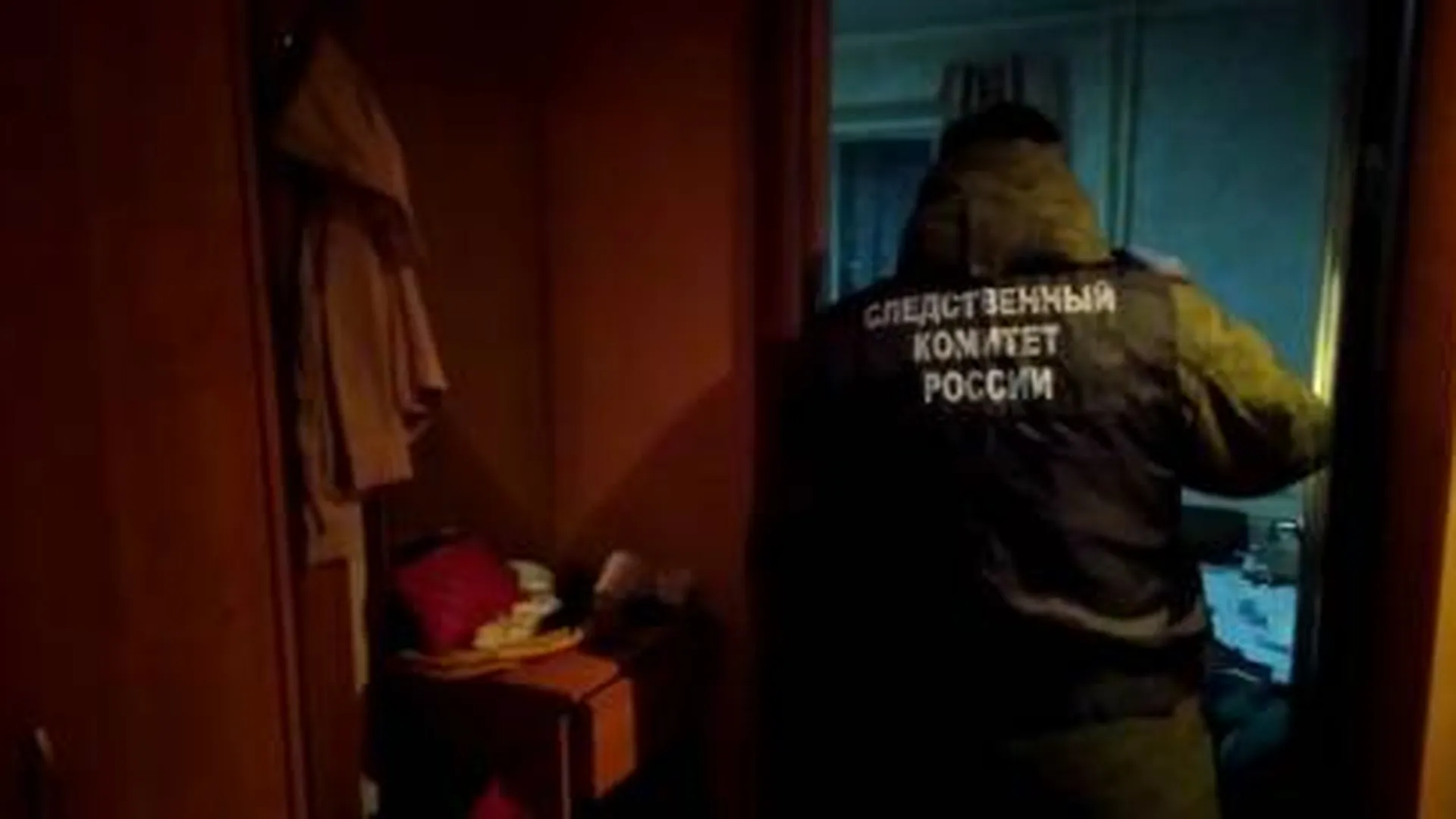 Подозреваемую в убийстве девочки в Вологде попросили арестовать