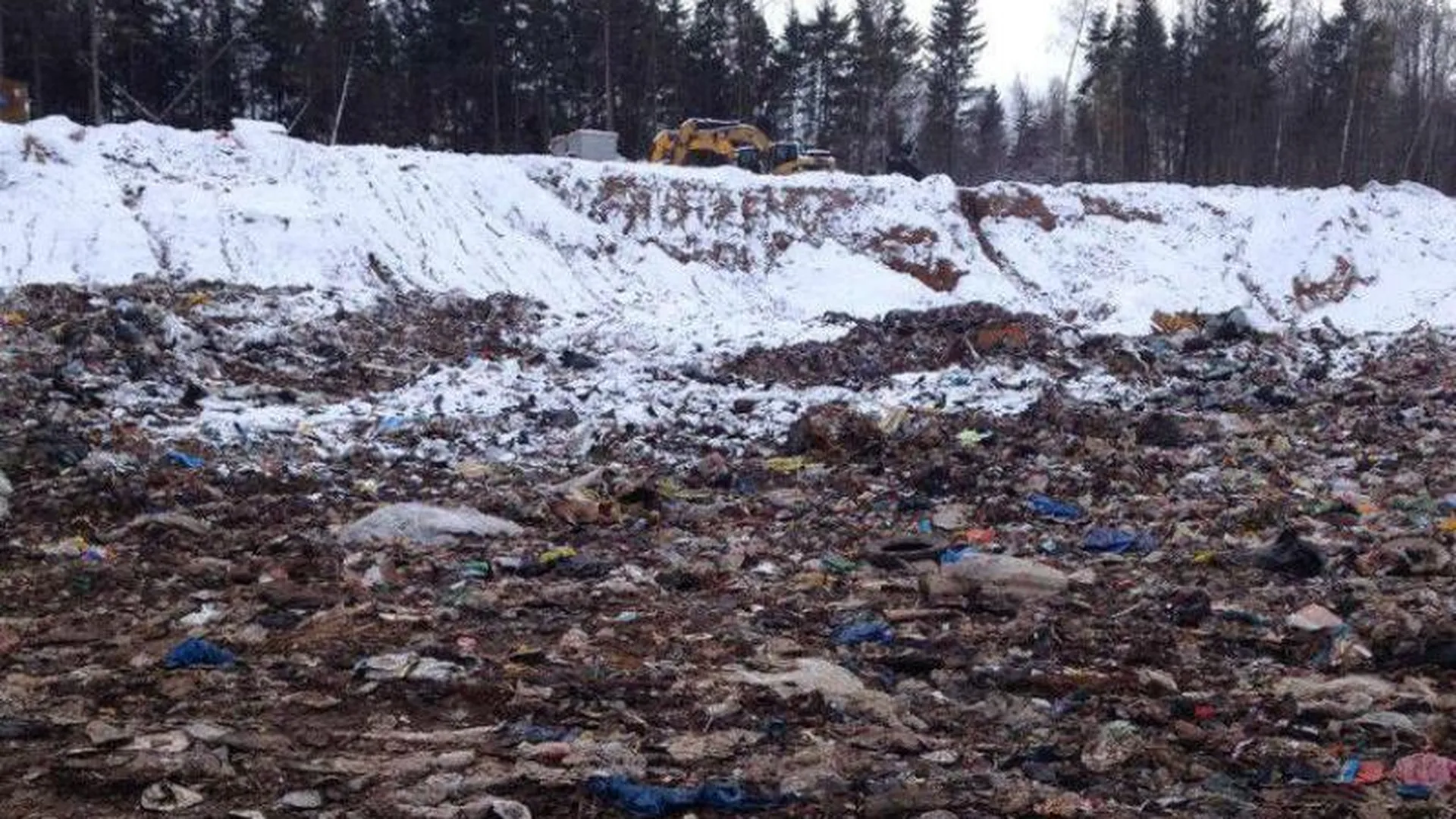 За прием отходов на закрытый полигон «Аннино» оштрафована эксплуатирующая компания