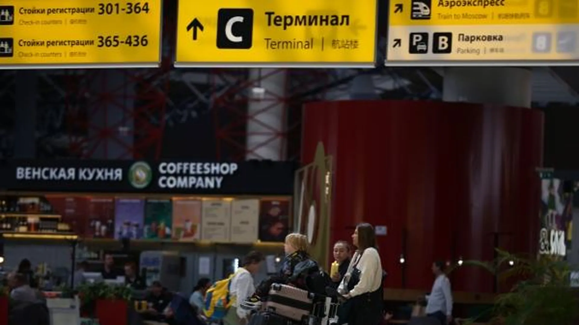 Очередь в аэропорту Шереметьево образовалась из-за зажигалки в виде гранаты