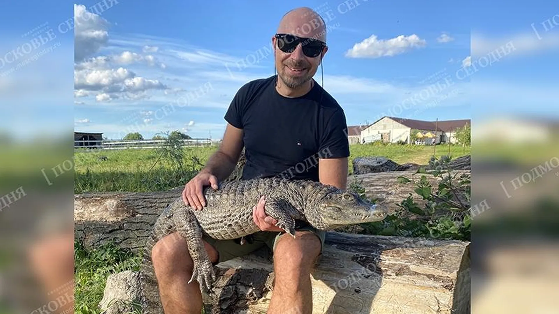 Спецвыпуск газеты «Подмосковье сегодня» помог поймать крокодила в Балашихе