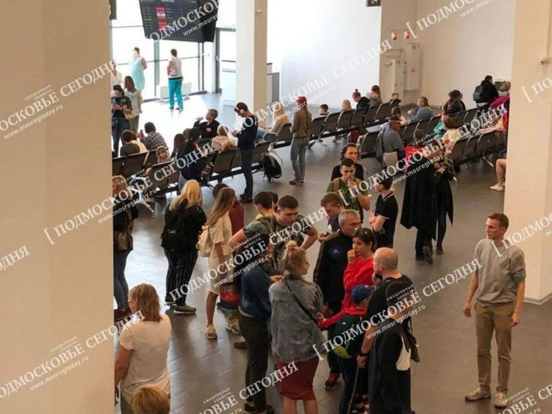 Пассажиров севшего в поле самолета доставили в аэропорт Жуковский