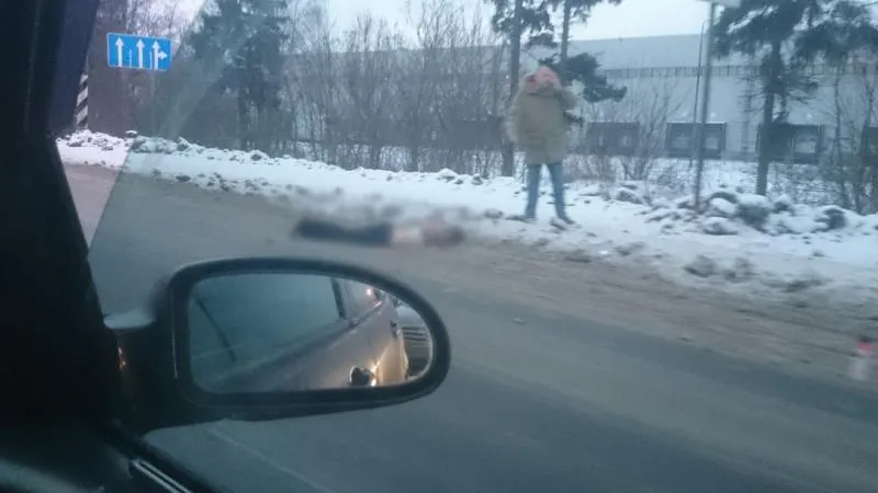 Очевидцы смертельной аварии под Солнечногорском: «Водитель даже не пытался затормозить»