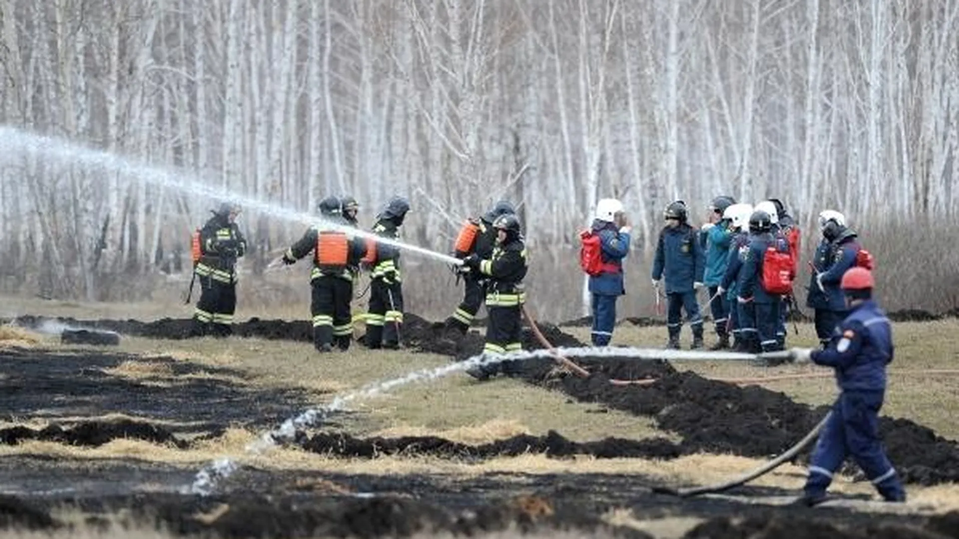 В Челябинской области потушили первый лесной пожар в этом году