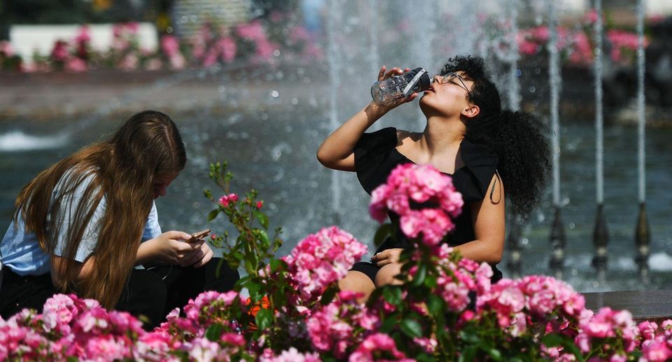 Синоптик Леус: 15 июня в Москве будет сухо и до +26 градусов