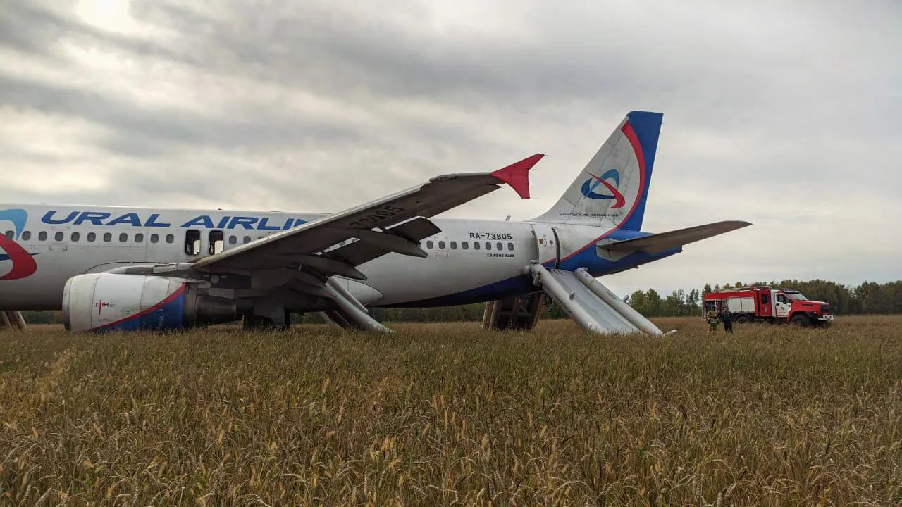 «Все могло закончиться куда хуже»: авиаэксперт раскрыл причины и обстоятельства вынужденной посадки Airbus