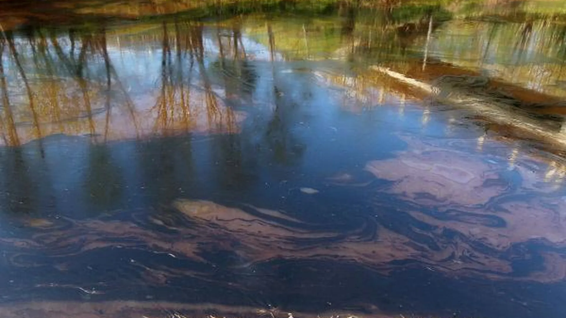 Компанию в Раменском районе оштрафовали за загрязнение реки