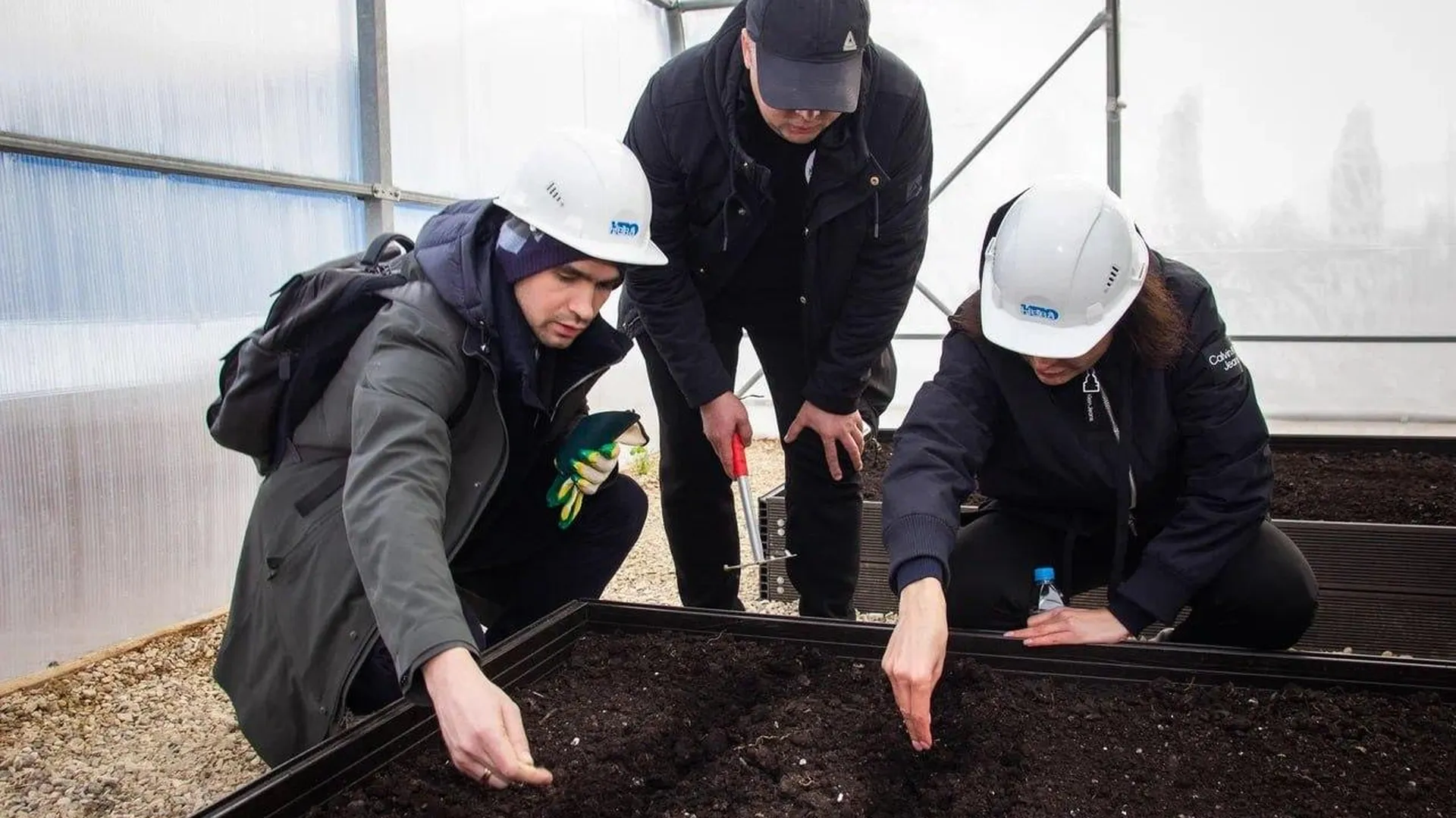 Эксперимент по выращиванию растений в грунте из переработанных отходов стартовал в Солнечногорске