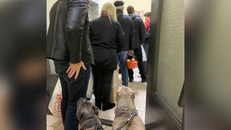 В очередь к лифту ежедневно выстраиваются жители многоэтажки Солнечногорска