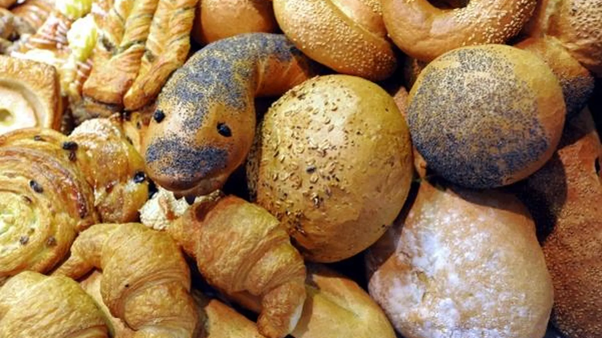 Хлеб из лебеды и одуванчиков начнут печь в Зарайске