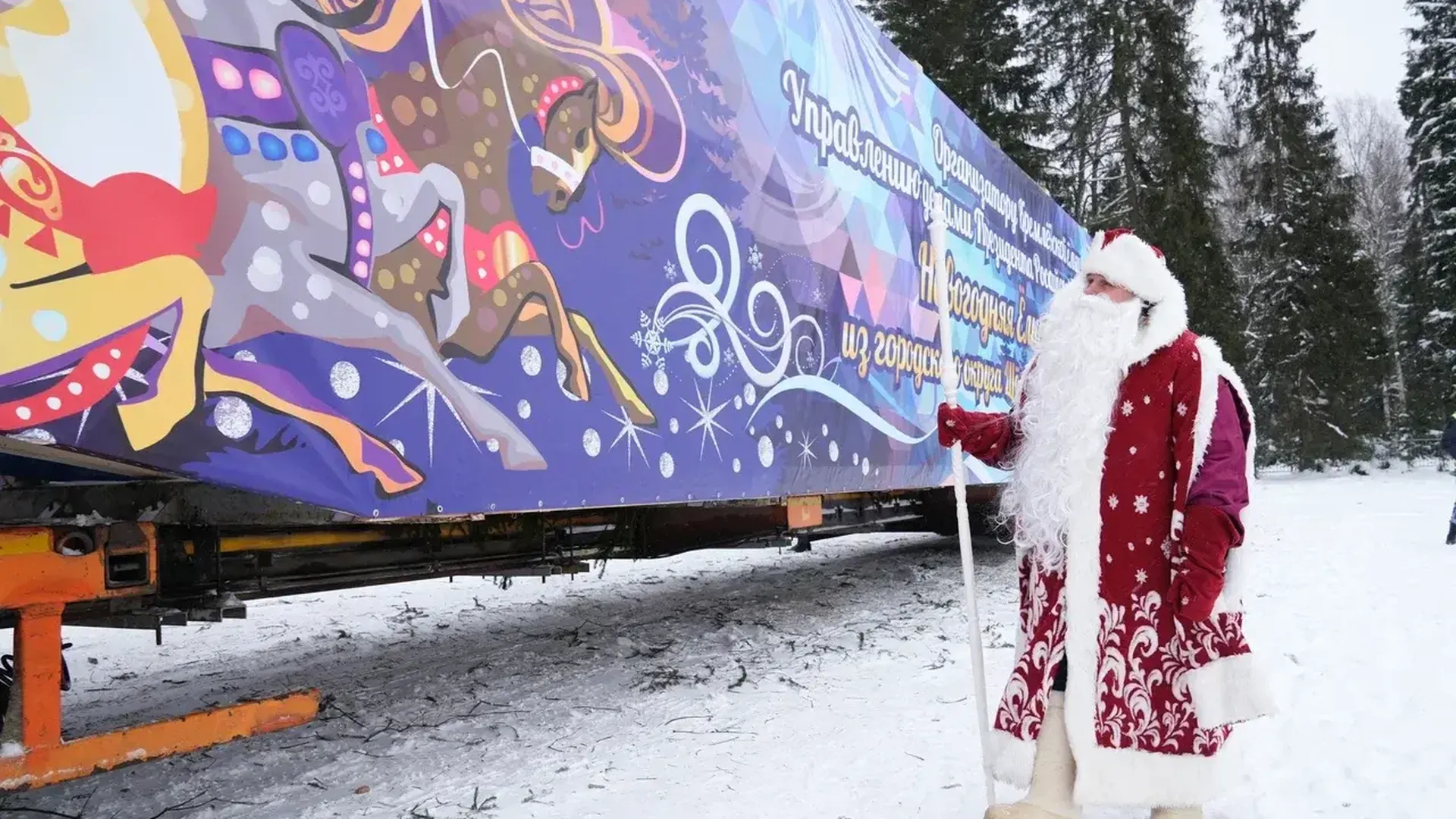 Главная новогодняя ёлка России отправилась из Подмосковья в Кремль
