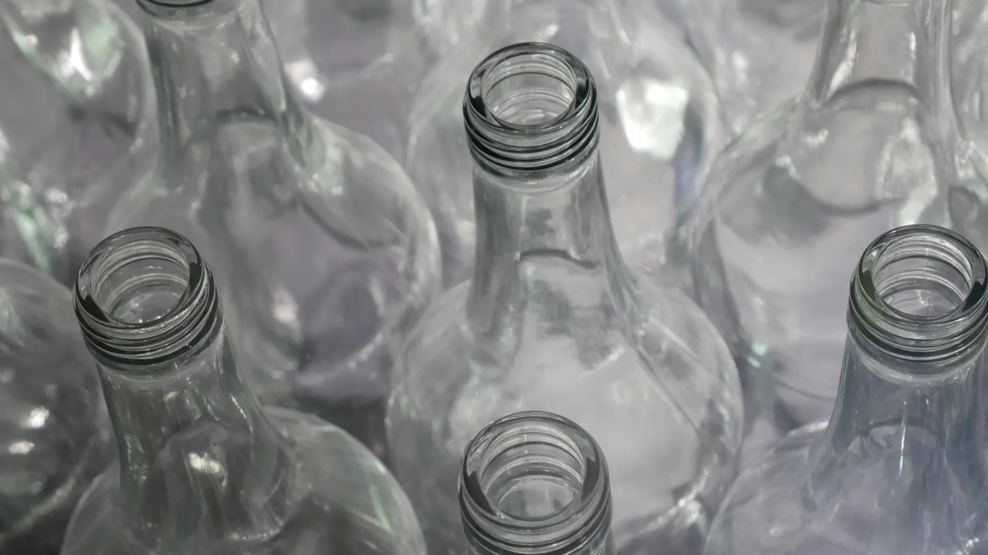 Почти 54 тысячи банок и бутылок сдали в экопункт на Пристанционной улице в Ступине