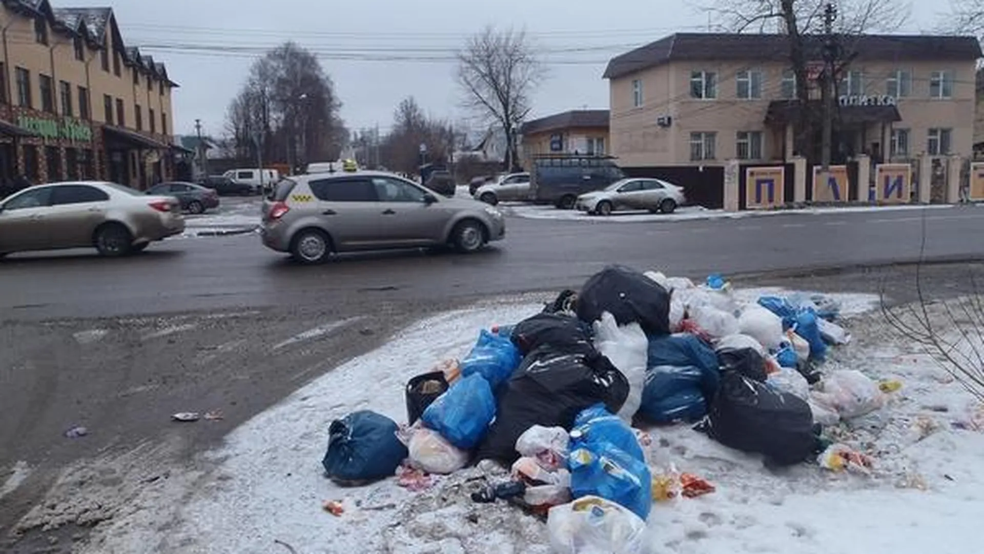 Девять навалов мусора и одну свалку выявили в Щелковском районе
