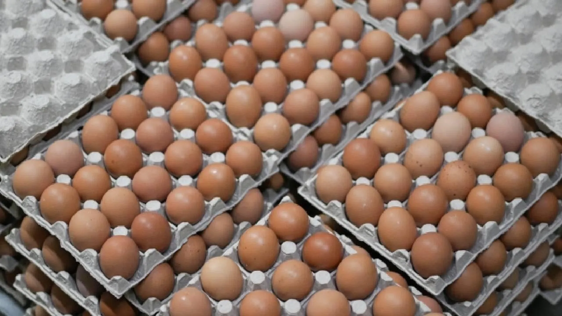 Шеф-повар Макаров рассказал, какие продукты заменят дорогие яйца