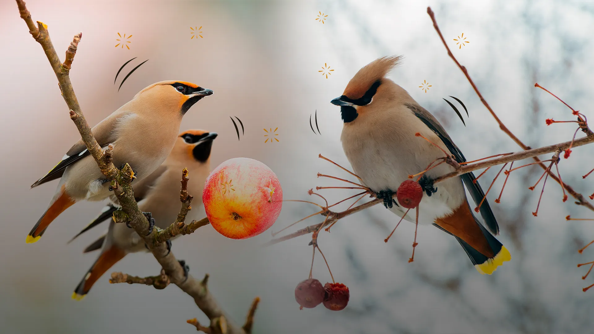 Птицы зимой сидят на ветке дерева