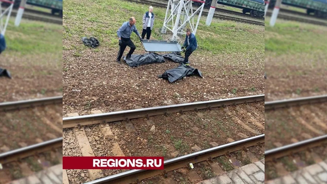 Мужчина и женщина погибли под колесами поезда на подмосковной станции