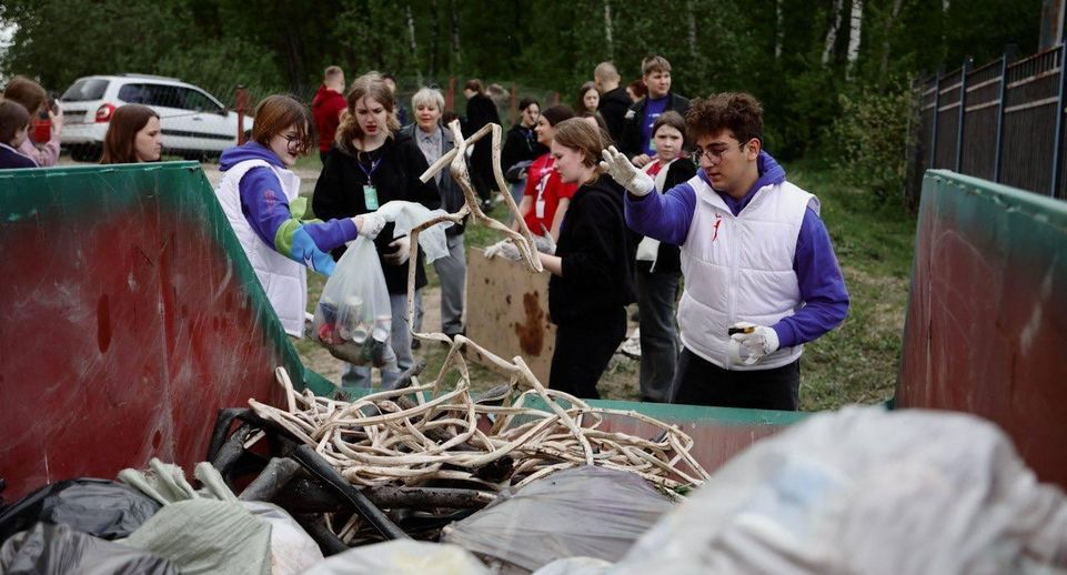 Участники «Чистых игр» очистили Губернский лес в Чехове