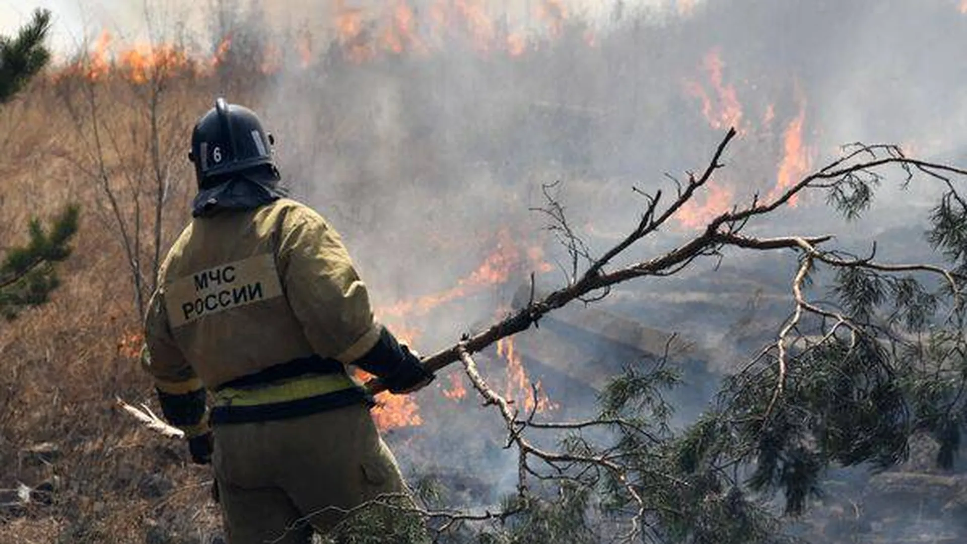 Дополнительные проверки из-за пожаров проведут в лесных хозяйствах Рязанской области