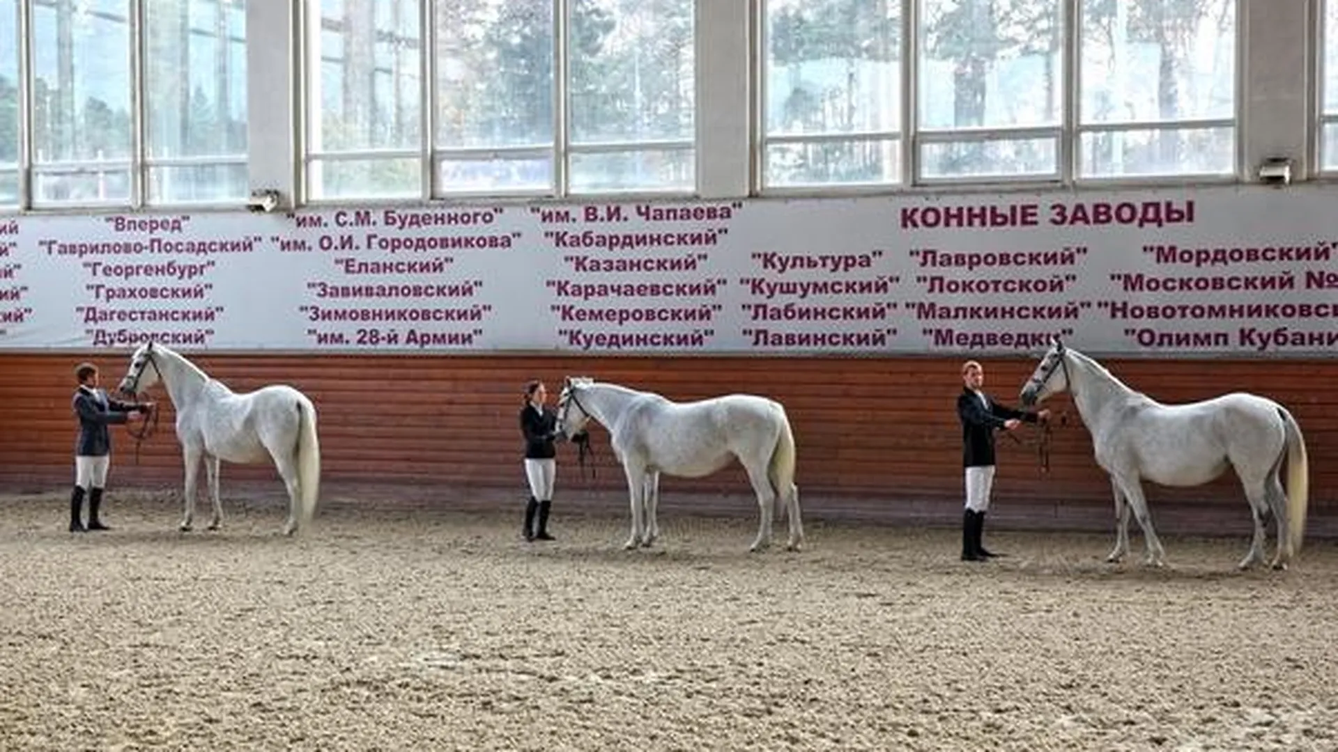 Московский конный завод №1 отметил 90-летие