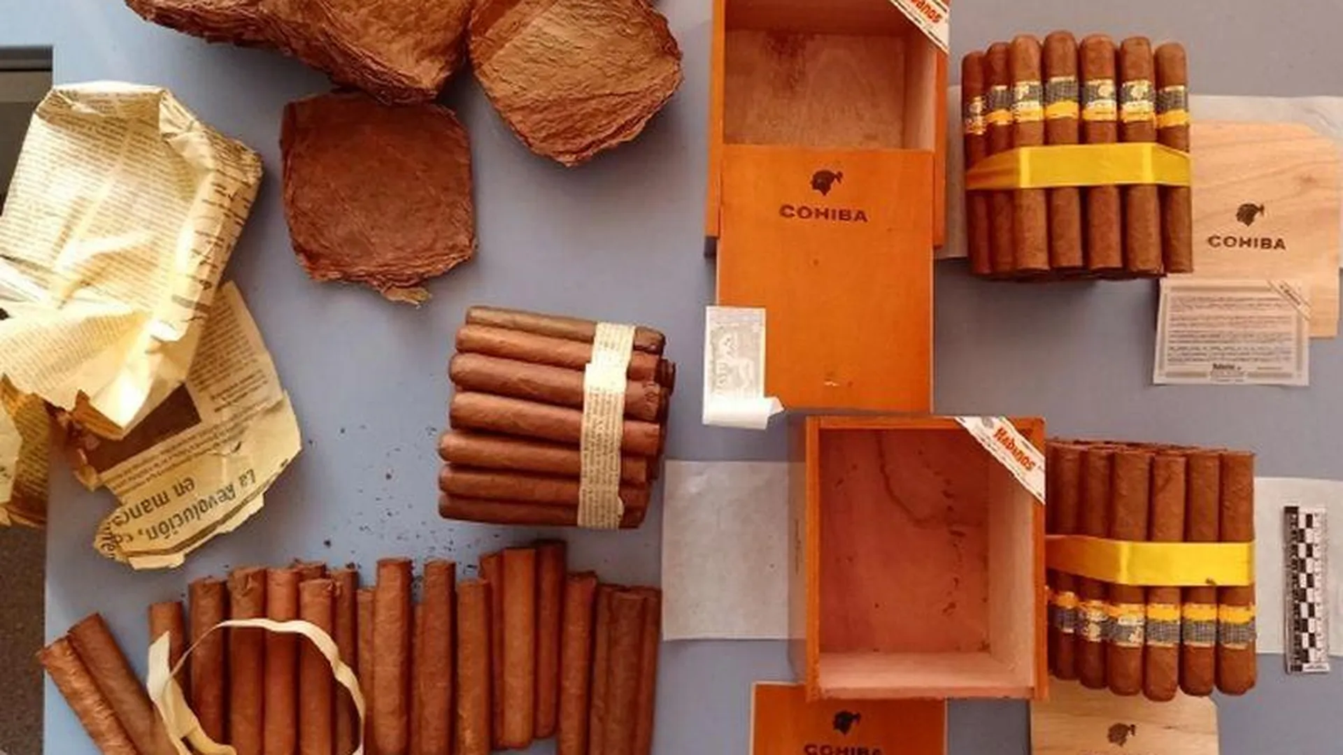 Сотню сигар изъяли у кубинца в Шереметьево