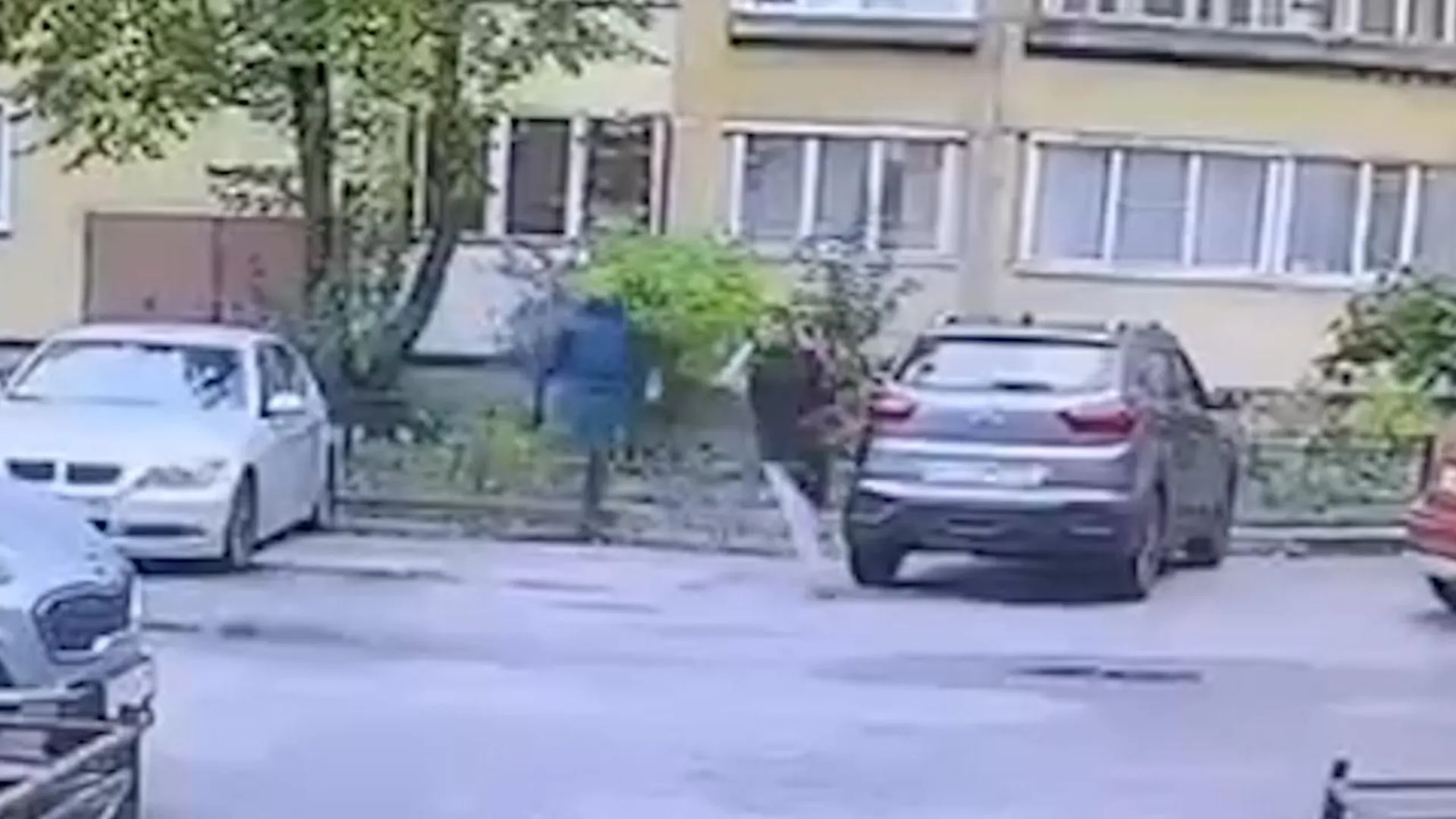 Курсант МЧС спас женщину от вооруженного грабителя в Петербурге