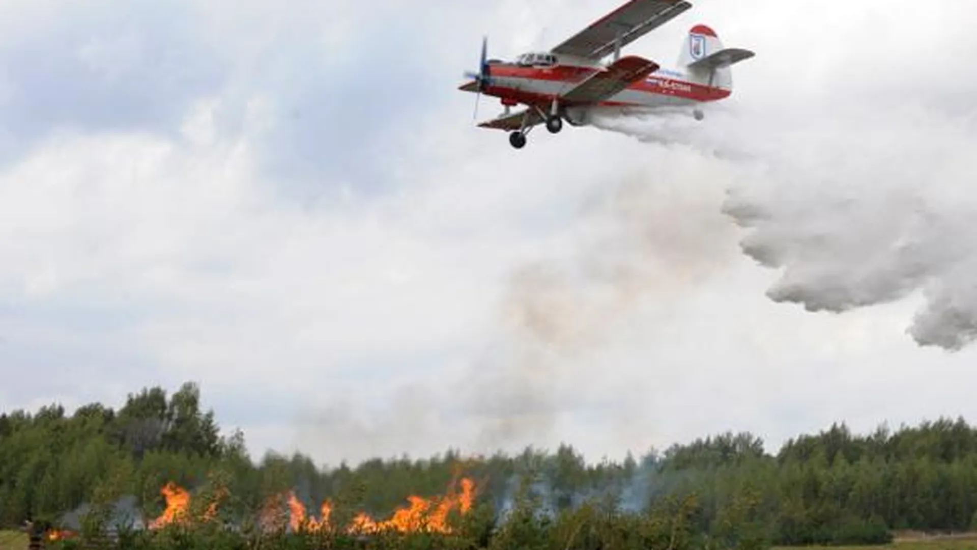  Подмосковье эффективно защищено от лесных и торфяных пожаров