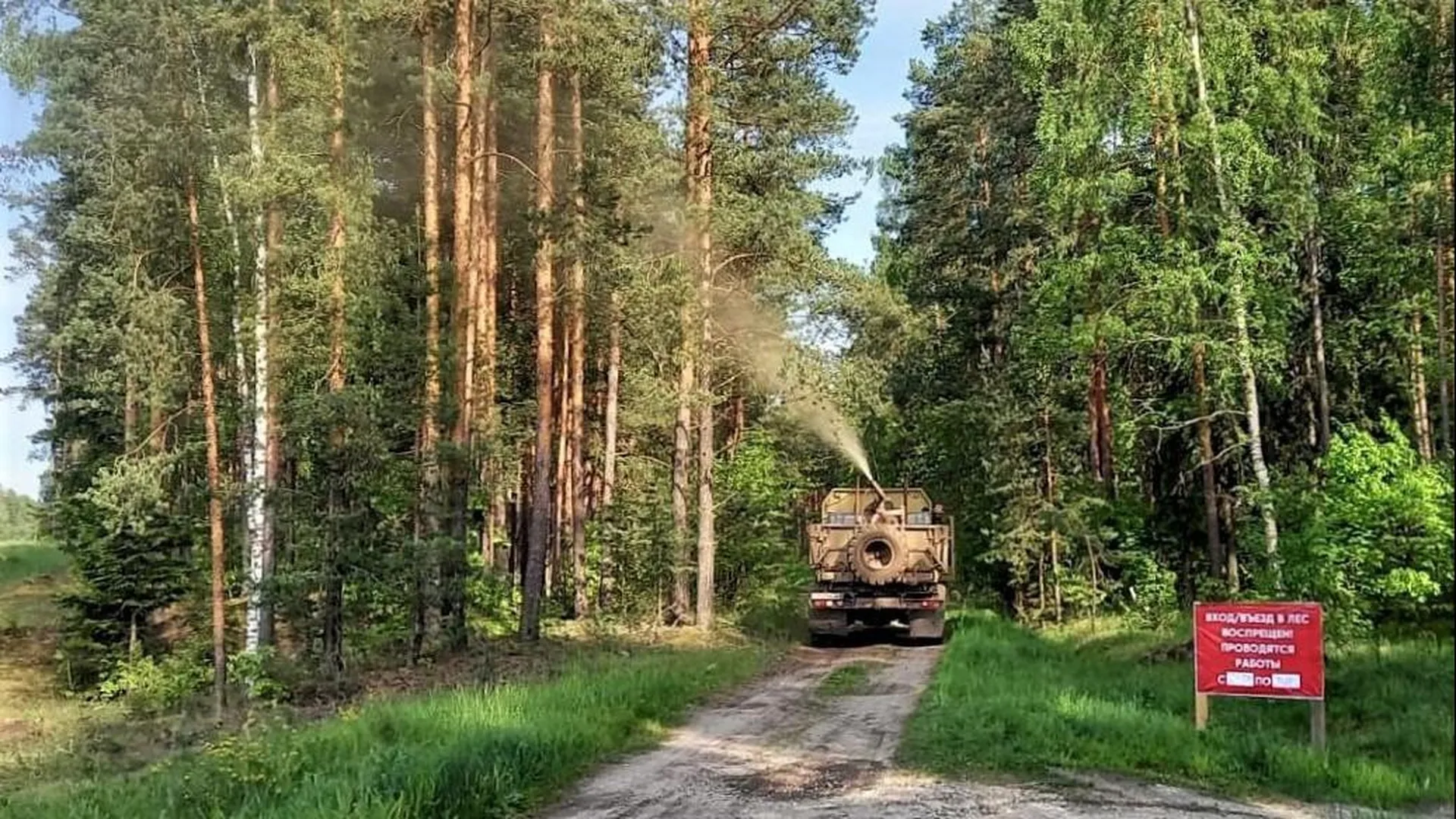 Более десяти тысяч гектаров леса обработают от непарного шелкопряда в Московской области