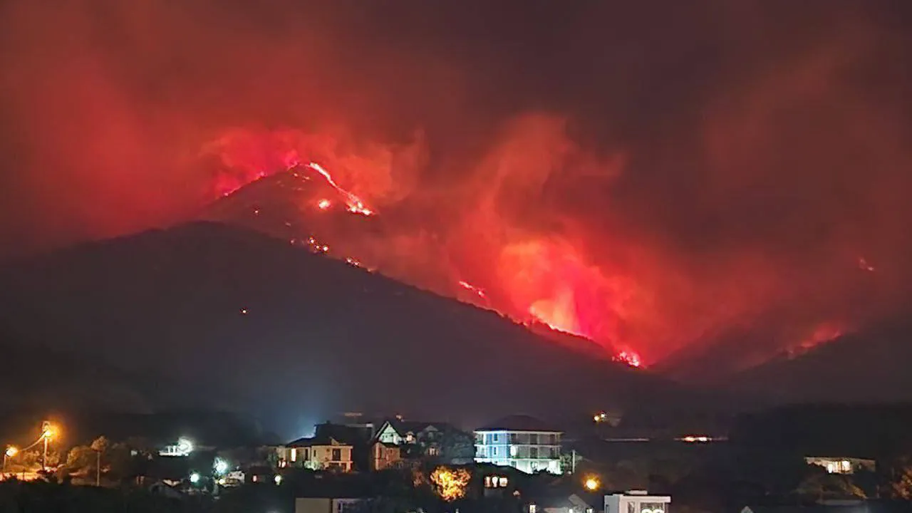 «Истоком пожара была вершина горы»: жительница Геленджика раскрыла ранее неизвестные подробности бедствия