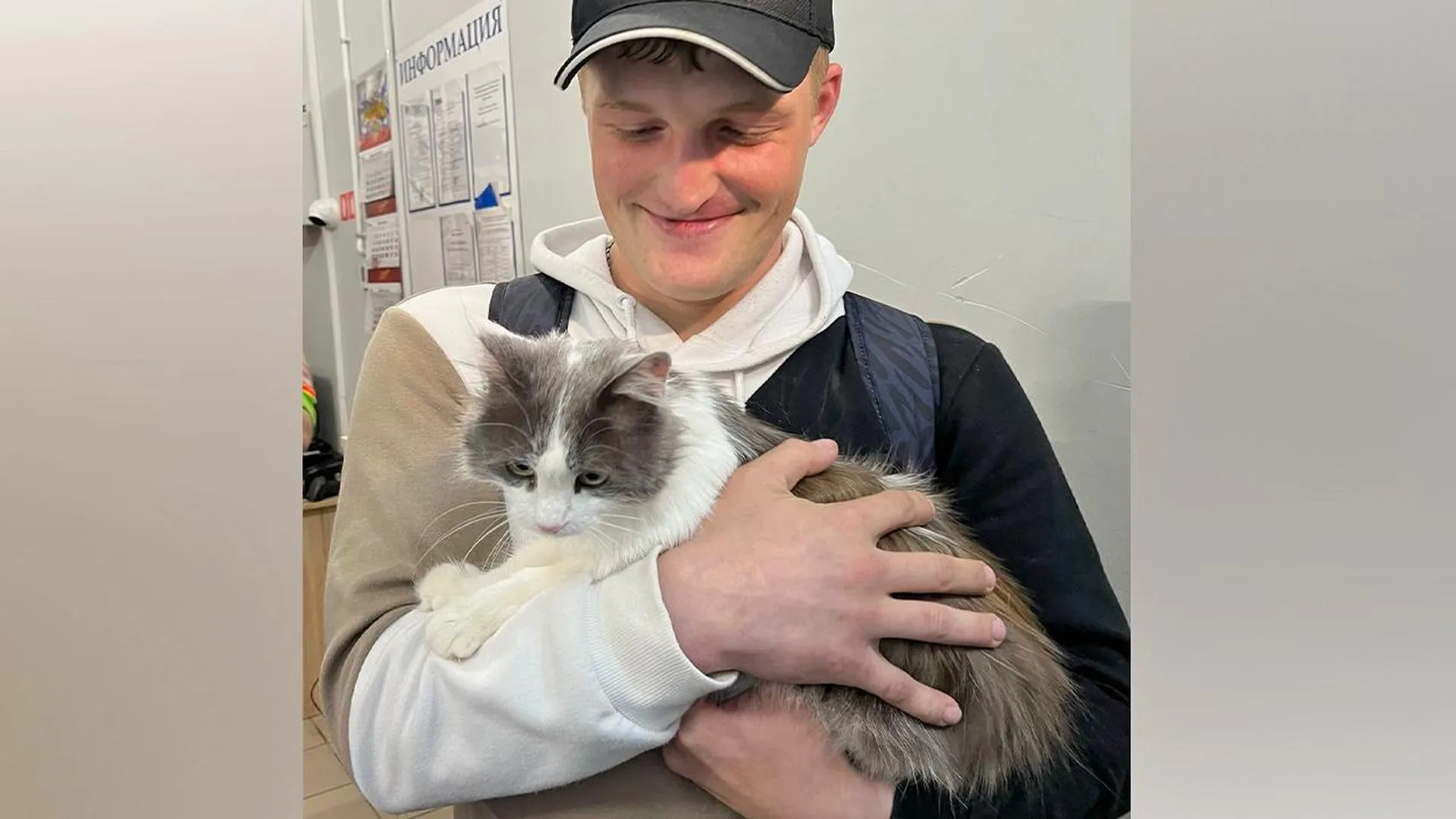 Отдохнул от кошки и вернулся: гражданин, оставивший домашнее животное в Шереметьево, образумился