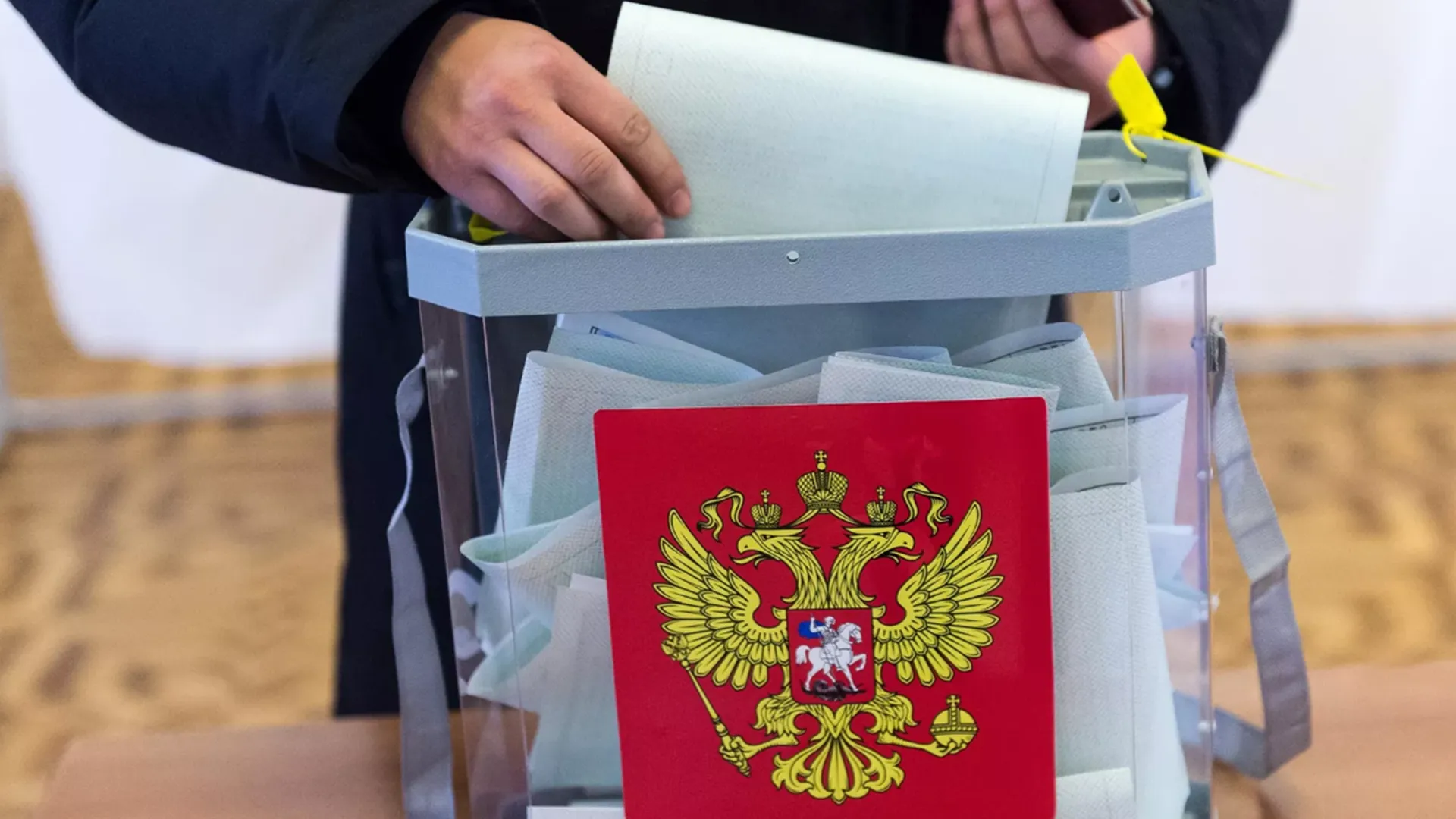 Иностранный эксперт Трифкович рассказала о прозрачности выборов разных уровней в России