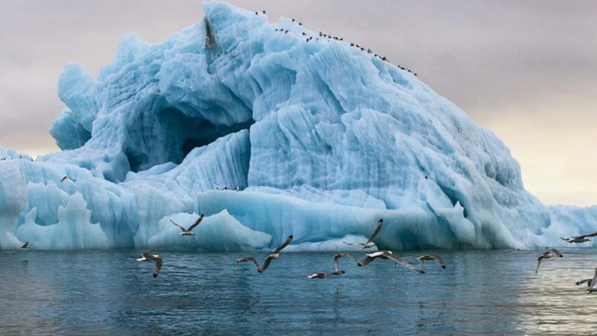 Ученые: ледяная глыба размером с две Москвы может затопить все континенты