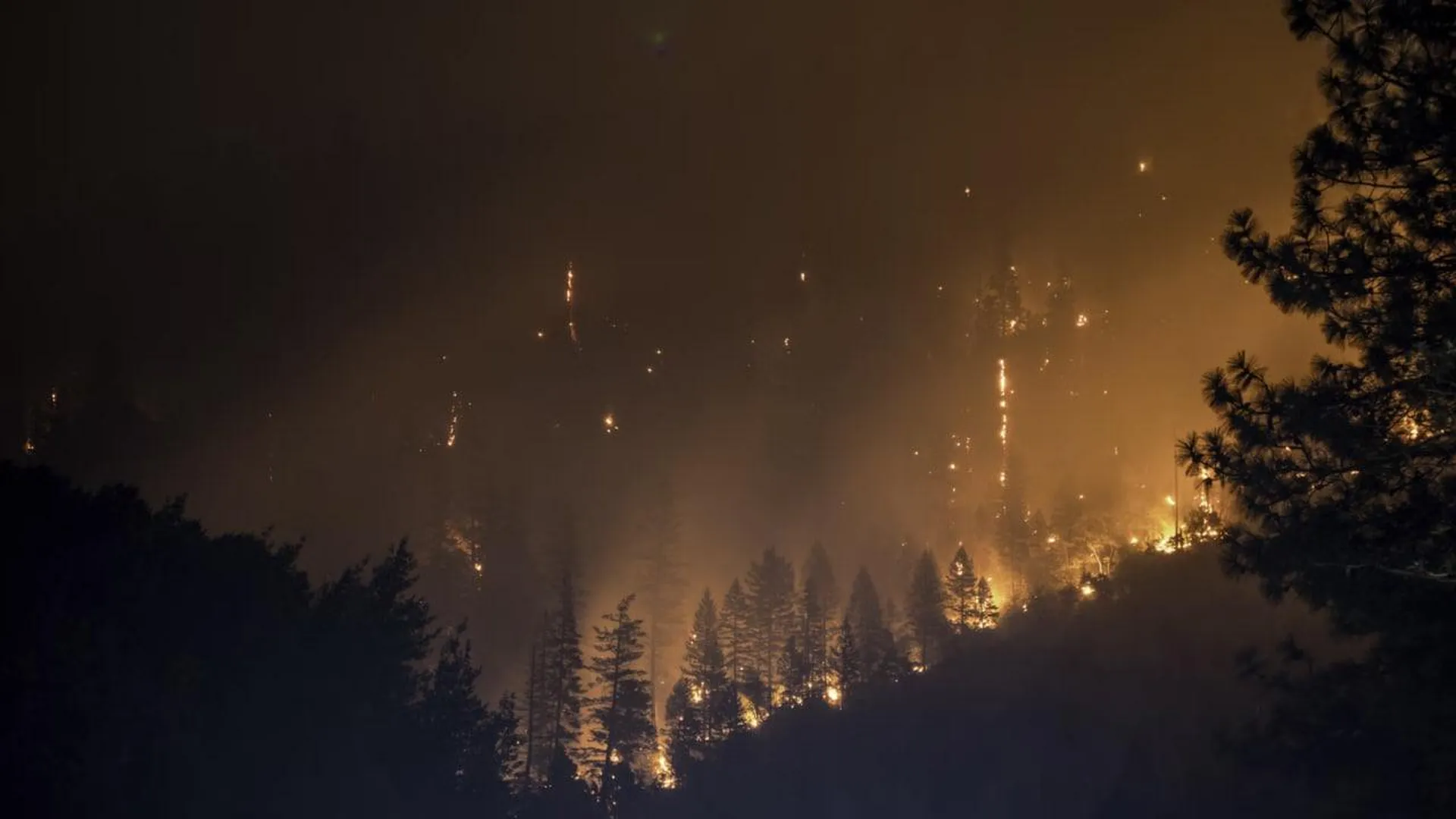 Три лесных пожара вспыхнули в Херсонской области из-за атак ВСУ