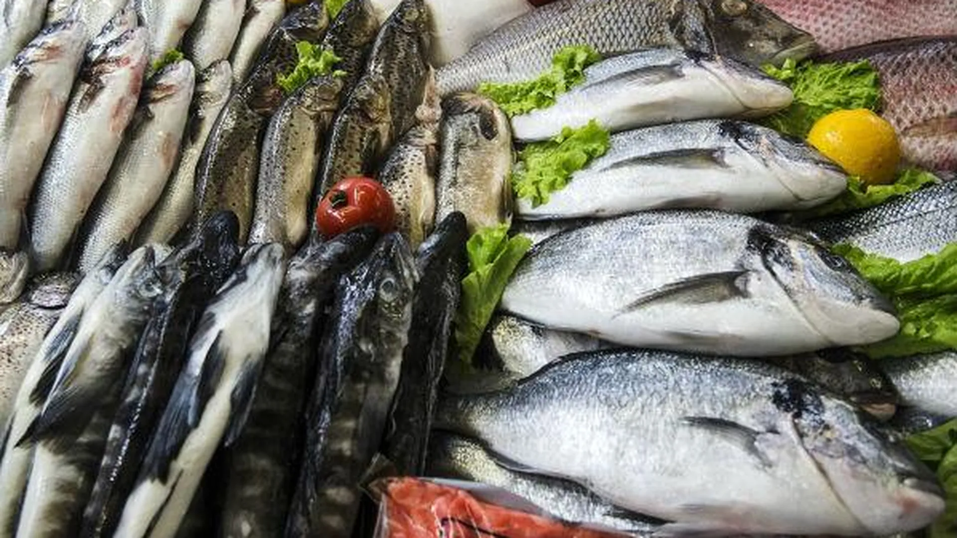 Около 14,5 тонны турецкой рыбы задержали на складе в Подмосковье