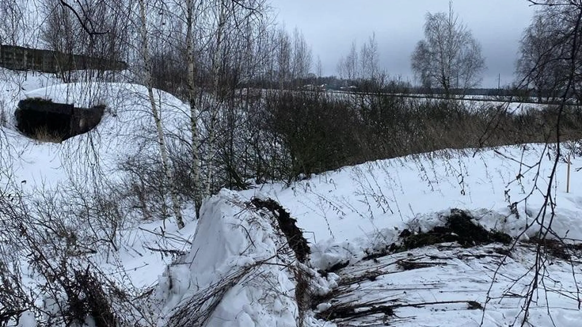 Жительница Ступино заплатит восемнадцать миллионов рублей за нанесение ущерба землям