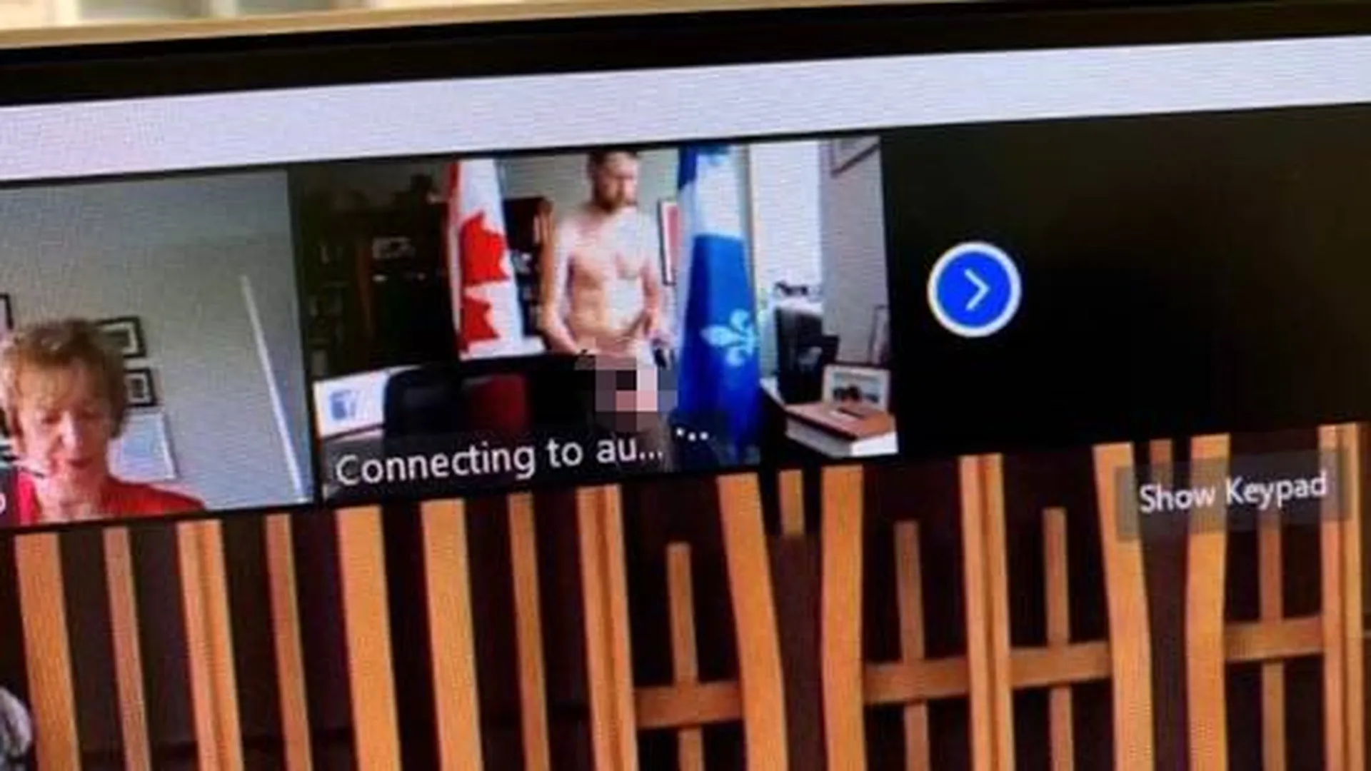 Канадский депутат появился голым на онлайн-совещании