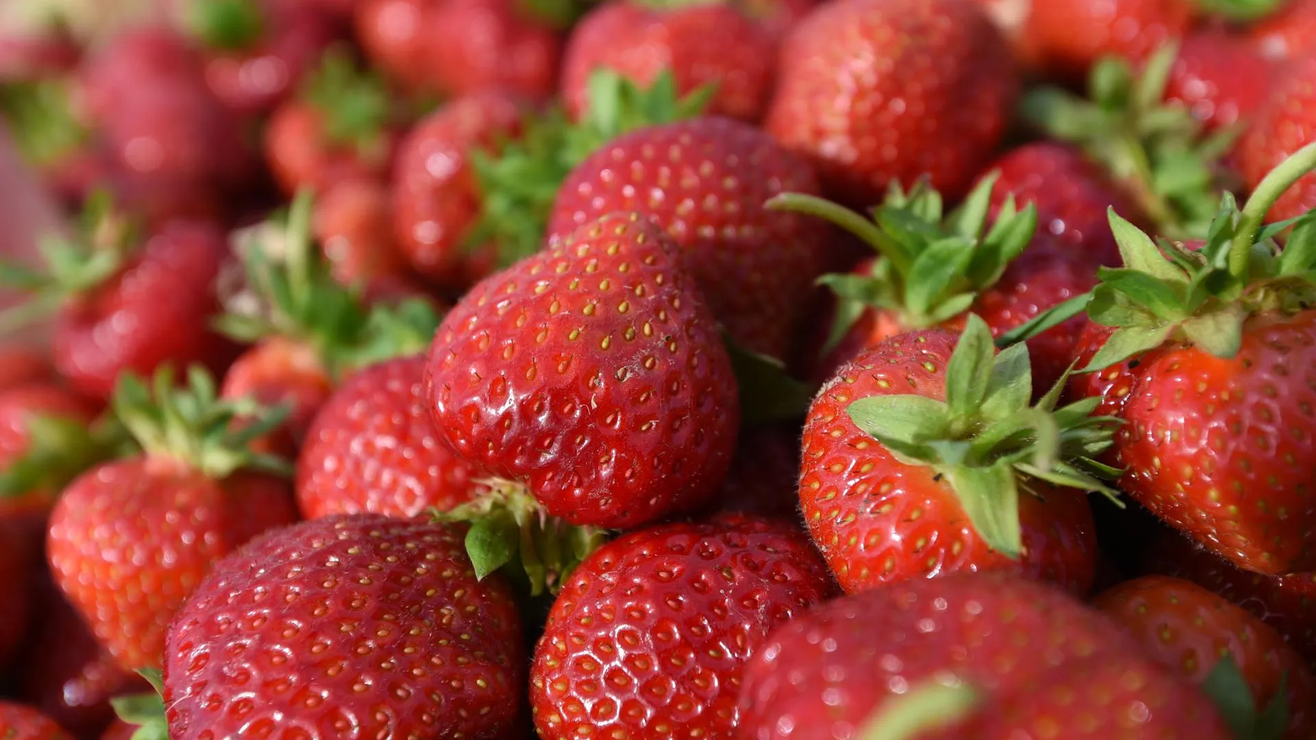 Агроном Владимир Микулов предрек богатый урожай ягод в этом году