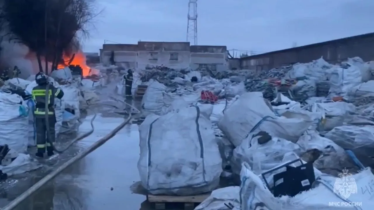 МЧС показало кадры крупного пожара в здании с паллетами в Подмосковье