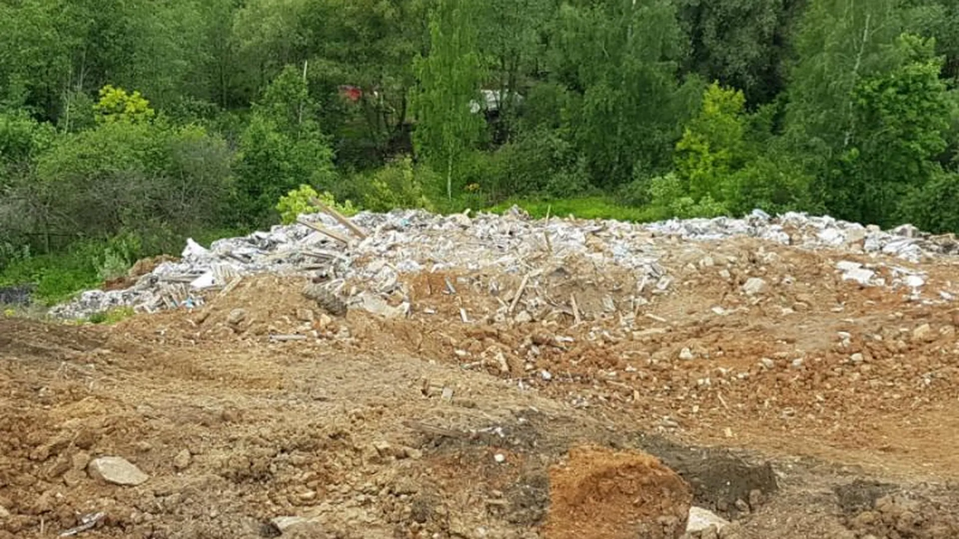 Предприятие в Красногорске накажут за незаконный сброс строительного мусора