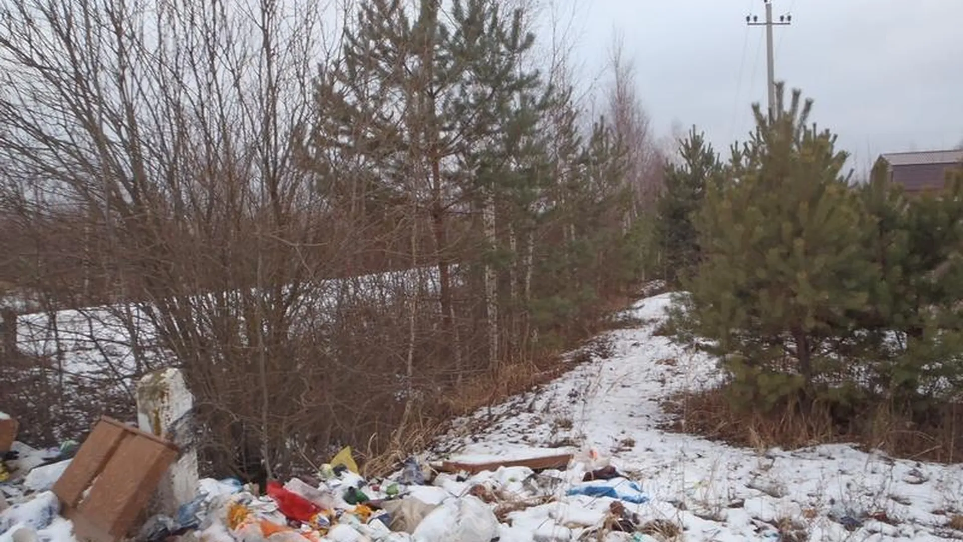 Двенадцать навалов мусора выявили в ходе операции «Подснежник» в Шатуре