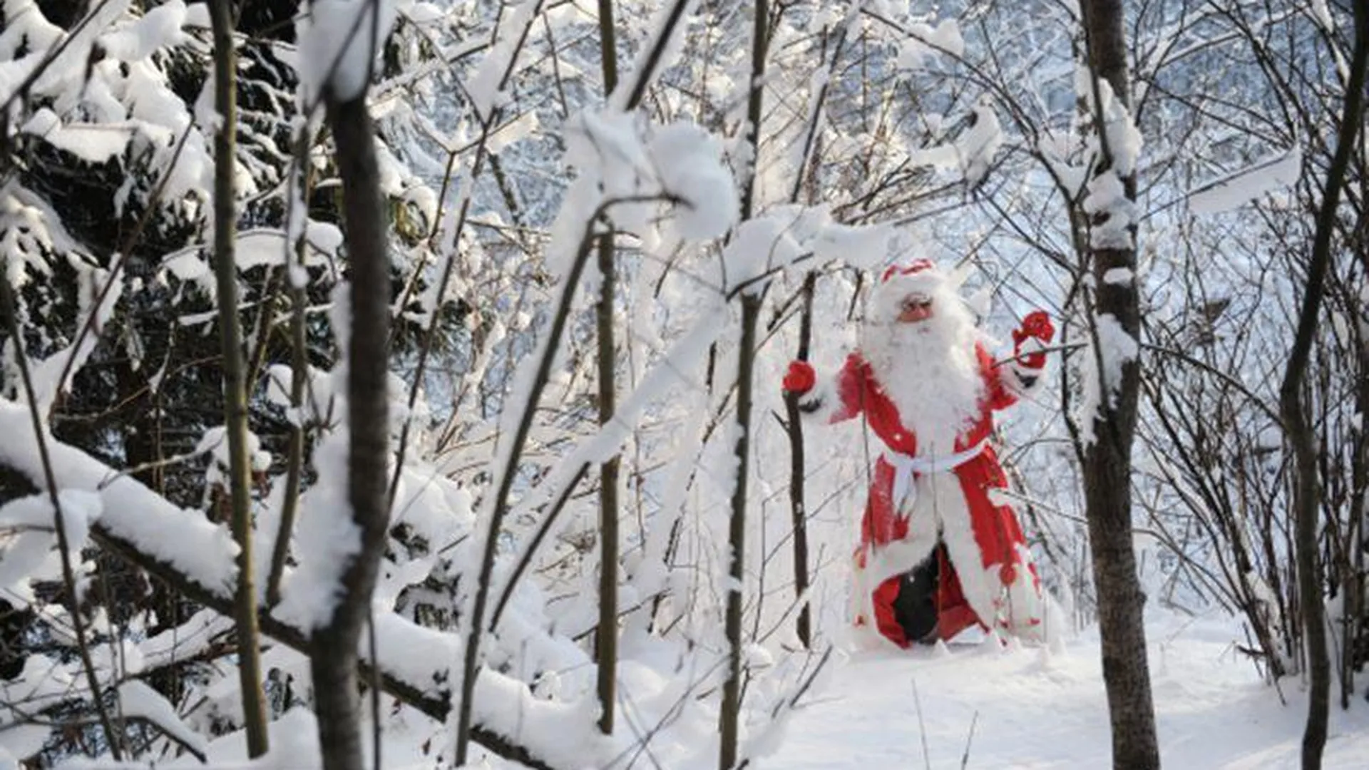 Россияне рассказали, как перестали верить в Деда Мороза